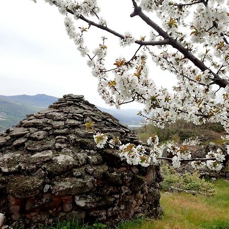 Apartamento Rural Amaluna إل تورنو المظهر الخارجي الصورة